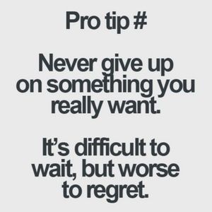 What are you looking for?